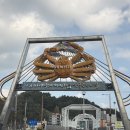 대구횟집 | 영덕 강구항 대게 맛집 내돈내산 대구횟집 솔직 후기