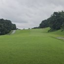 도고컨트리구락부 이미지