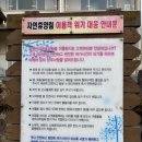 팔영산 자연휴양림 야영장 이미지