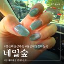 새실로 | 양산 네일샵 추천 물금 네일 잘하는 곳 솔직후기 네일숲