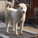 건영축산 이미지