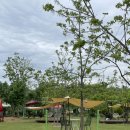 강동로-39 이미지