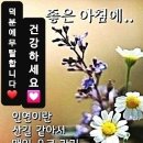 24년 11월 22일 금요일 아침 인사 글 이미지