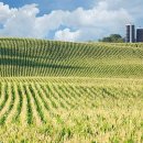 상상농장 이미지