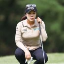 드림300야드골프 이미지