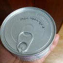 발라당냥 | 한려수 나눔후기 (f. 멜비집사님)