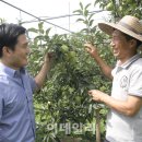 이영길농장 이미지