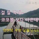 구트 조행기 126화 - 이걸 잘 먹네~ 이미지