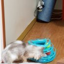 진수동물병원 이미지