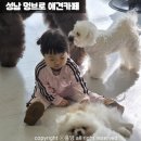 냥냥펀치 | 성남 아이와 갈만한곳 상주견 애견카페 멍브로