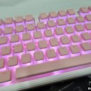 F98 | 나에게 주는 선물로 구매한 &lt;독거미 F98 Pro&gt;와 &lt;다얼유 A104 Pro Flex&gt; 후기