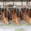 한솔농원 이미지