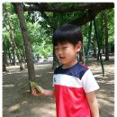 미원초교 금관분교 이미지