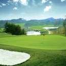 타니스테이 이미지