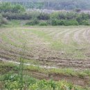 석전동501 이미지