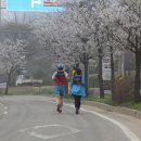 하성초등학교 이미지