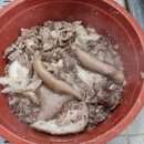 무릉도원면-5 이미지