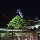 뭐니머니의 일본 전국여행 -高知(고치) 16일차- 바다가 들린다 이미지