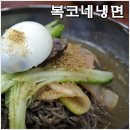 [영월맛집] 복코네냉면 - 여름이면 생각나는 막국수 이미지