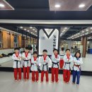 YS삼성태권도장 이미지