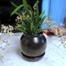 환타지아 이미지