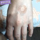 김춘섭내과 이미지