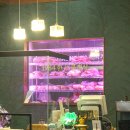 클래식한우 이미지