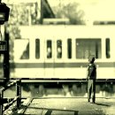 델리스파이스 - 차우차우 이미지