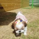 놀멍쉬멍고르멍 이미지