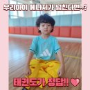 올바른i태권도 | "엄마.. 나 태권도장에서 살면 안돼?!- 아이들이 먼저 가고 싶어하는 마법 같은 도장!