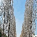 경춘선숲길공원 이미지