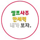 셀프사주 보는법 feat.<b>포스텔러</b>