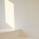 나비살롱 이미지