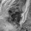 이도메디컬 이미지