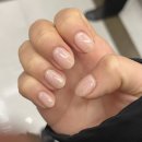 쉬즈네일블라썸