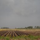 진봉우체국 이미지