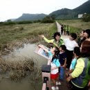 김해 화포천습지 생태박물관 이미지