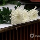 문정로-9 네이버블로그