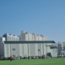 금촌체육공원 축구장 이미지