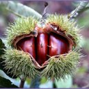 행정사 양승인 사무소 이미지