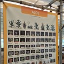 (주)주원팜 | 김해 아이랑 가볼 만한 슬로에 팜 한림 알로에 체험