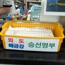 지세포해안로 | 거제 지세포관광유람선 아이와 함께 해금강 외도보타니아
