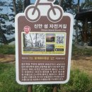 목포 부근 Daum카페