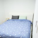 낭안트레 민박 이미지