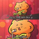 (주)다나코리아 | 월간 일기 - 2024년 11월