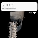 즐거운피티샵(개봉점) 이미지