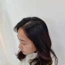 살롱드 헤일리