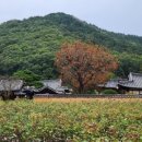 화목노래연습장 이미지