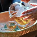 치유의 숲 야영장 이미지