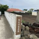 하도리 동동동 | [숙소/제주] 동쪽 조용한 독채숙소 추천 하도리동동동, 동집 후기